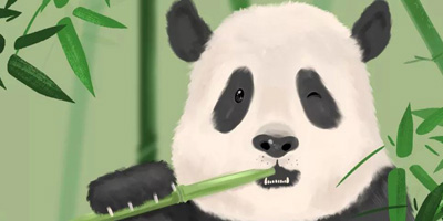 首個(gè)中國大熊貓國際形象出爐，網(wǎng)友看后不經(jīng)“噗”的笑出聲
