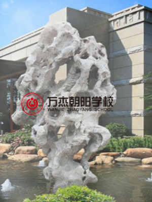 萬杰朝陽學校網(wǎng)頁設計