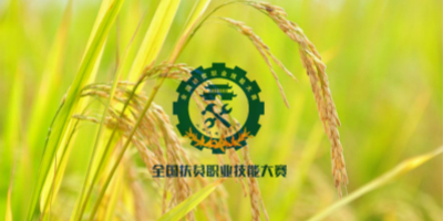 全國扶貧職業(yè)技能大賽LOGO設(shè)計揭曉